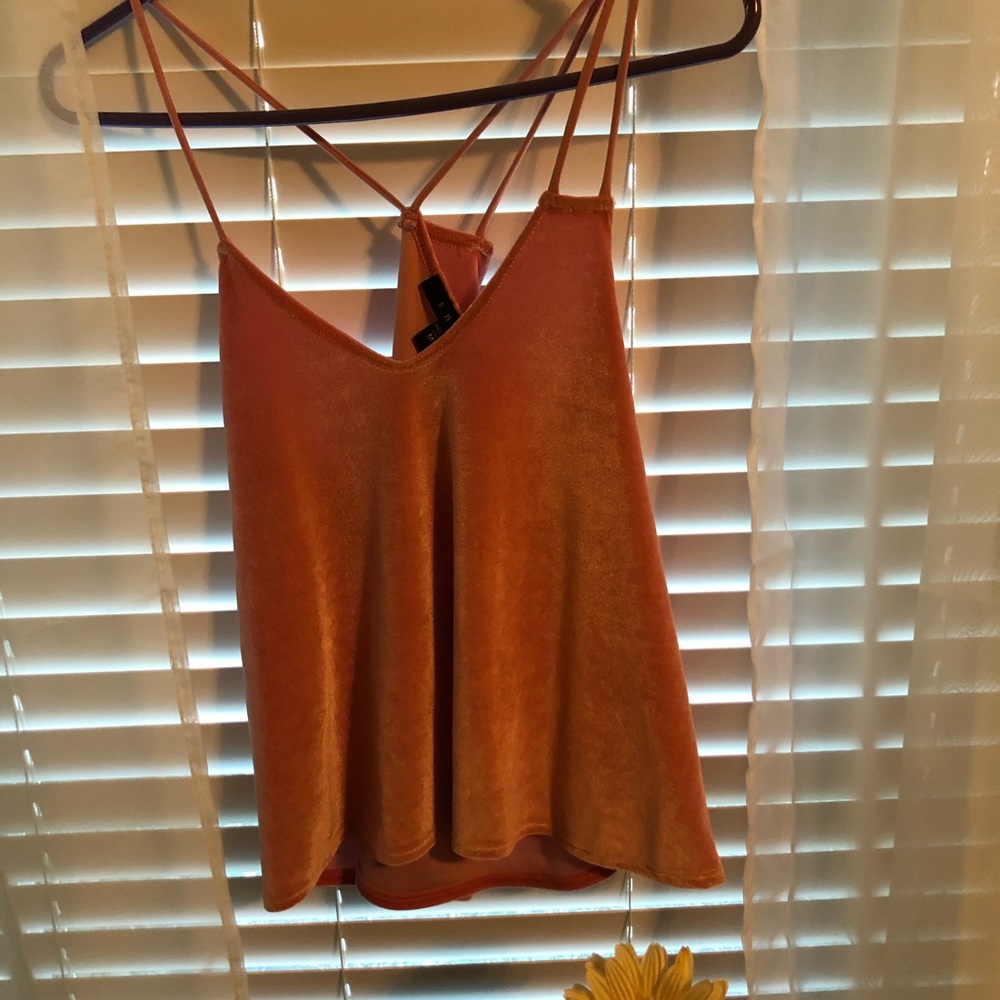 Velvet Crop top
